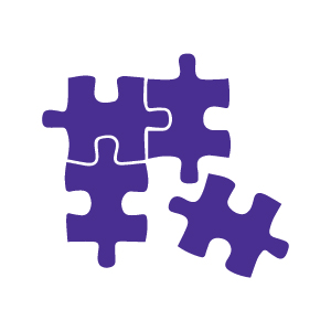 puzzle icon