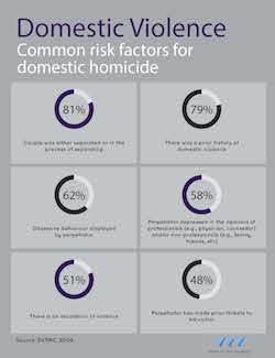 Domestic homicide infographic part 2